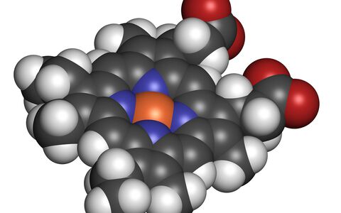 Bild von Kalottenmodell des Häm-Moleküls. Bei Porphyrien ist die körpereigene Produktion von Häm aufgrund meist angeborener Enzymdefekte gestört.
