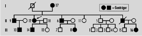 Stammbaum einer Familie mit akuter intermittierender Porphyrie. Die Anlageträger wurden mithilfe der Genanalyse identifiziert.